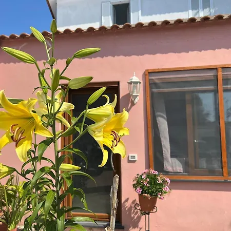 Casetta Ischia Lacco Ameno (Isola d'Ischia)